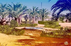 CASSAIGNE 505  JARDIN PUBLIC